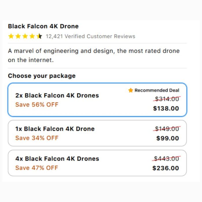 Black Falcon Drone - Image 2